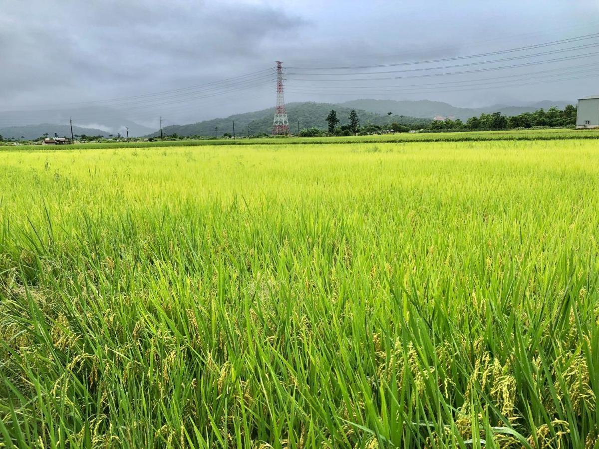 Fairy Story Village Farm B&B Dongshan  Bagian luar foto