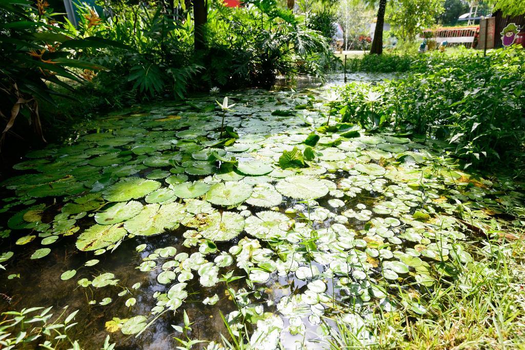 Fairy Story Village Farm B&B Dongshan  Bagian luar foto